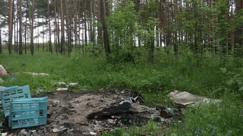 Garbage dump in the forest, environmental pollution, sunny summer day, forest Video stock 76793550
