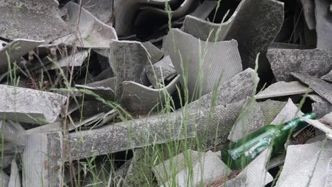 Garbage dump in the forest, environmental pollution, sunny summer day, forest Video stock 76793627