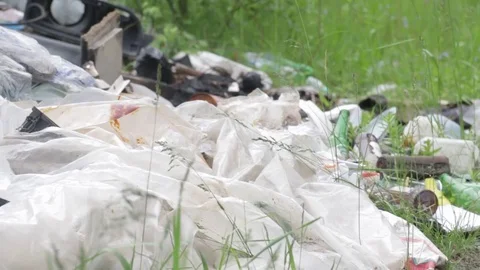 Garbage dump in the forest, environmental pollution, sunny summer day, forest Video stock 76793644