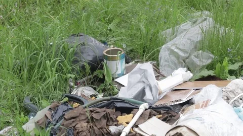Garbage dump in the forest, environmental pollution, sunny summer day, forest Video stock 76793705