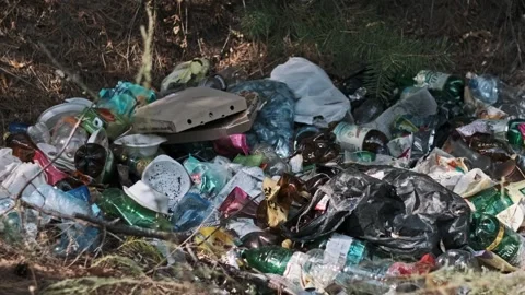 Garbage Dump in Forest, Environmental Pollution Stock Footage 303702433