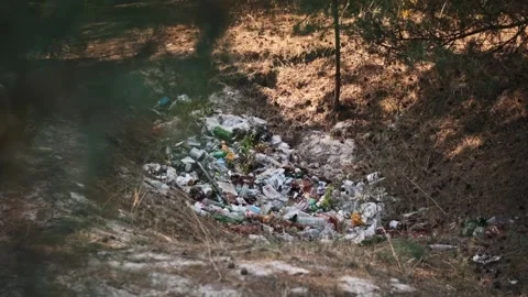 Garbage Dump in Forest, Environmental Pollution Stock Footage 303757253