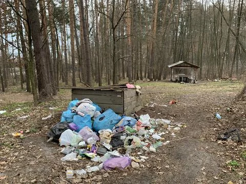 Garbage dump in the forest. Environmental pollution. People illegally throw g Stock Photos