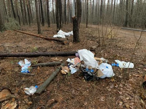 Garbage dump in the forest. Environmental pollution. Concept: Illegal dump in Photos