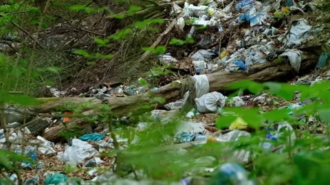 Garbage dump in the forest Stock Footage 137428160