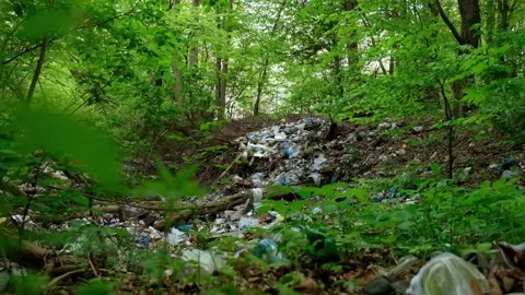 Garbage dump in the forest Stock Footage 137428166