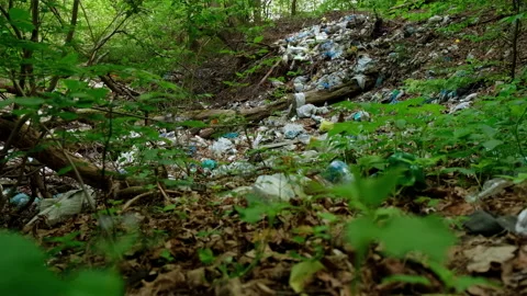 Garbage dump in the forest Stock Footage 137428202