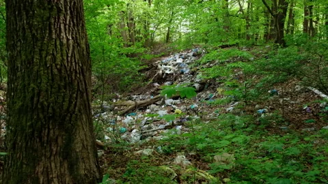 Garbage dump in the forest Stock Footage 137428205