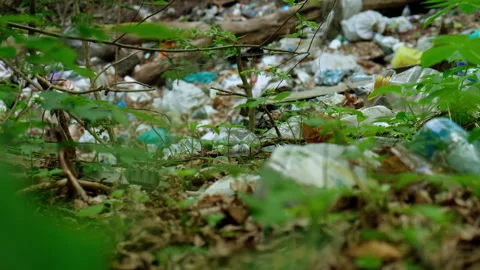 Garbage dump in the forest Stock Footage 137428232