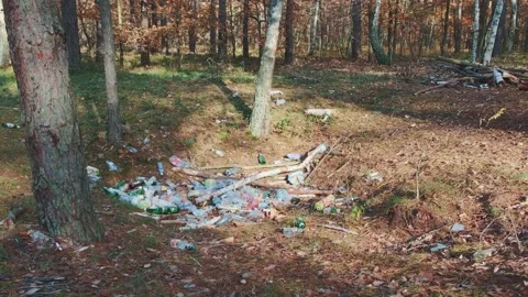 Garbage dump in the forest Stock Footage 157592904