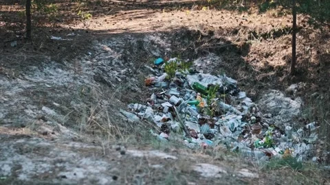 Garbage Dump in Forest Stock Footage 284674404