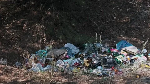 Garbage Dump in Forest Stock Footage 303702971