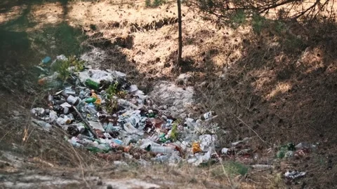 Garbage Dump in Forest Stock Footage 303706435