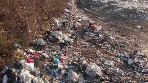 Garbage dump in the forest. Garbage in the mountains. Stock Footage 165409259