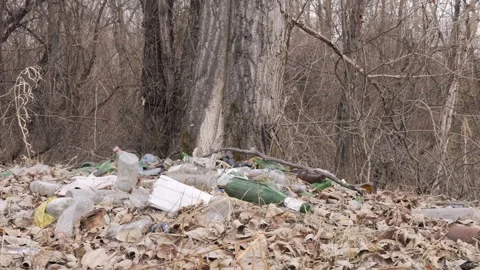 Garbage dump in forest, highlighting environmental impact. Waste disrupts Stock Footage 278138176