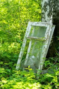 Garbage dump in the forest illegal dumping of garbage violates the ecology of Stock Photos