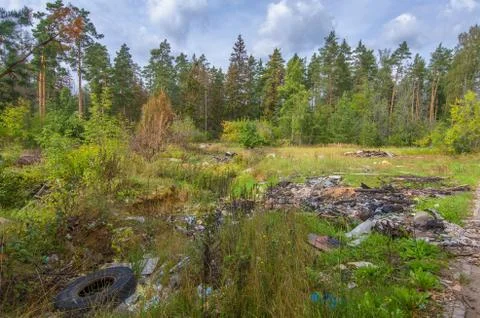 Garbage dump in forest Foto stock