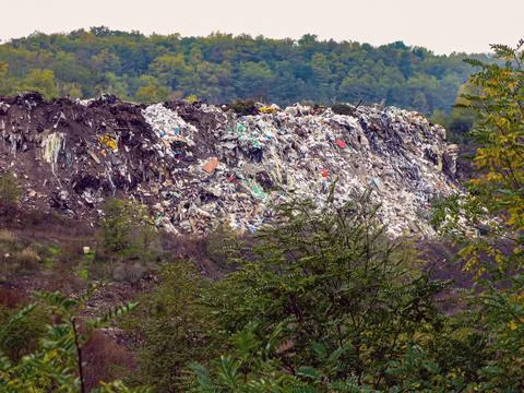 Garbage dump in the forest Stock Photos
