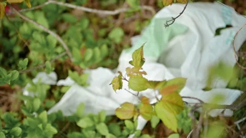 Garbage dump in the forest, A pile of plastic waste and food waste thrown in the Video stock 171987730