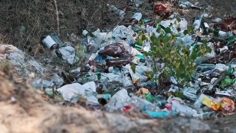 Garbage Dump in Forest, Pollution Stock Footage 303828615