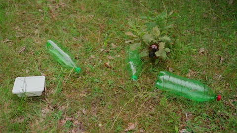 Garbage dump in the forest. Unidentified person throws plastic Video stock 158123983