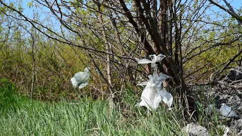 Garbage dump on the grass near the forest ecological disaster Stock Footage 106520815