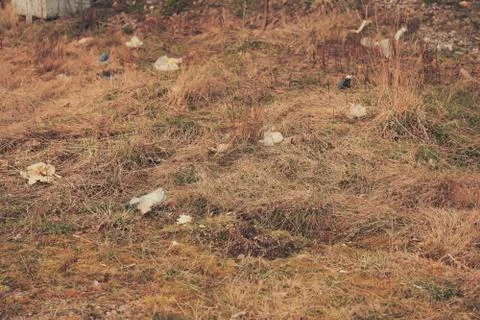 Garbage dump on the grass near the forest ecological disaster concept polluti 写真素材