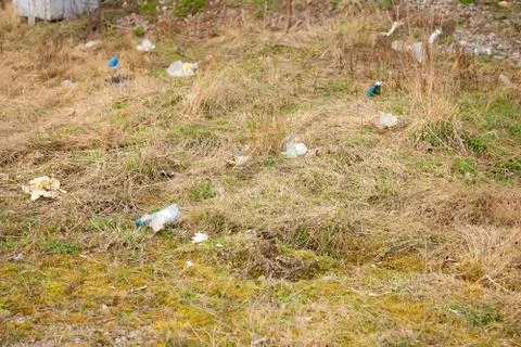Garbage dump on the grass near the forest ecological disaster concept polluti 写真素材