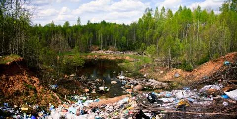 Garbage dump in green forest. wide shot. Stock Photos