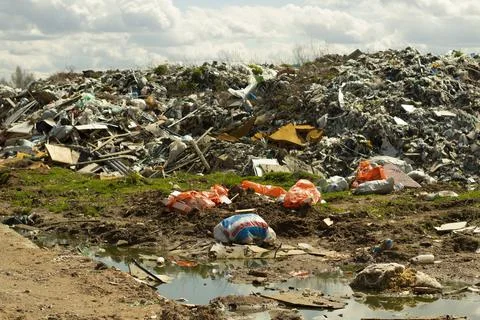 Garbage dump. Illegal dump in Russia. Garbage and writing waste. Harm to ecol Foto stock