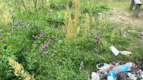 Garbage dump in Illegal location. People throw garbage near lake Stock Footage 252103050