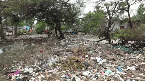 Garbage dump at landfill Stock Footage 301211041