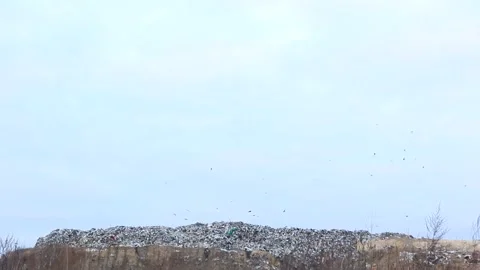 Garbage dump. Large garbage dump. Stock Footage 165559240