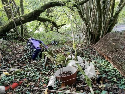 Garbage dump made by people in the forest Stock Photos