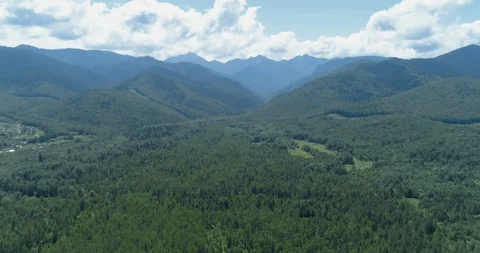 Garbage Dump in the Middle of the Forest. Mountains on the Background Stock Footage 121841570