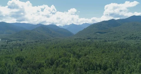 Garbage dump in the middle of the forest. Mountains on the background Stock Footage 123768898