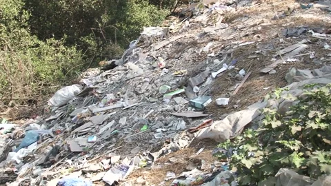 Garbage dump in Mumbai, India. In front of mangroves. Stock Footage 134332811