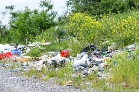 Garbage dump in nature. Environmental pollution. Foto stock