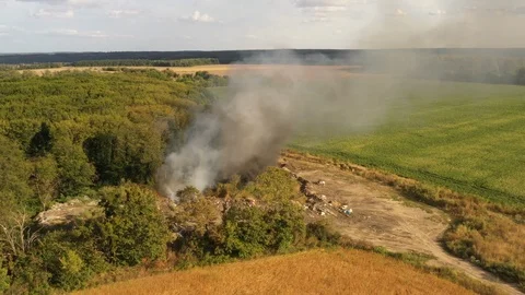 The garbage dump near the forest burns. Poor ecology, emissions into the 스톡 동영상 115839880