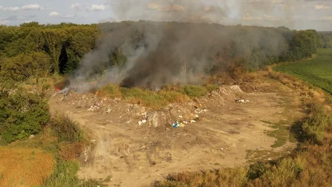 The garbage dump near the forest burns. Poor ecology, emissions into the 스톡 동영상 115841975