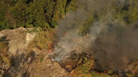 The garbage dump near the forest burns. Poor ecology, emissions into the 스톡 동영상 115843551