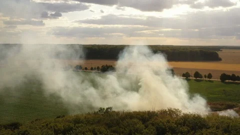 The garbage dump near the forest burns. Poor ecology, emissions into the 스톡 동영상 115843865