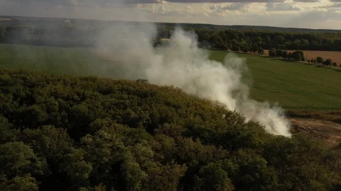 The garbage dump near the forest burns. Poor ecology, emissions into the 스톡 동영상 115847956