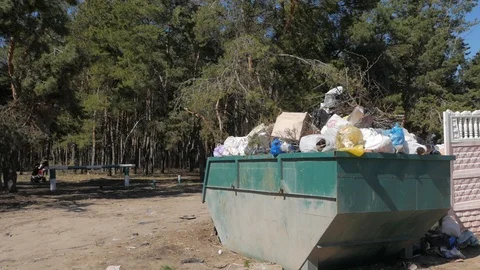 Garbage dump near the pine forest. Dirty plastic, metal and paper garbage lying Stock Footage 130077398