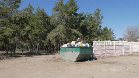 Garbage dump near the pine forest. Dirty plastic, metal and paper garbage lying Stock Footage 132028225
