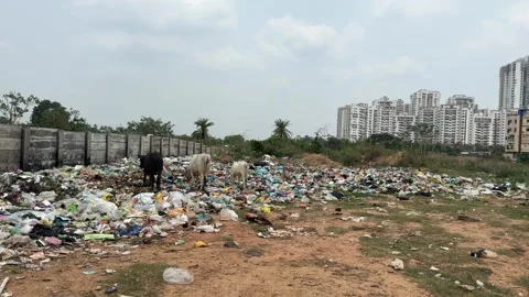 Garbage Dump Near Residential High Rises on Outskirts of Bhubaneswar Video stock 337983188