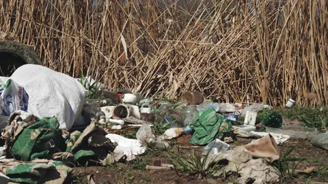 Garbage dump outdoors. Illegal dump of construction waste. garbage pile of 動画素材 153088248