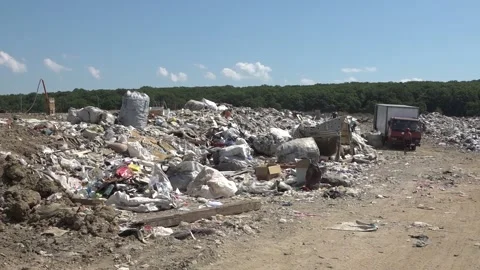 Garbage dump. People will take out the garbage.Uzhhorod. Ukraine - June 22, 2020 Vídeos de archivo 143908299