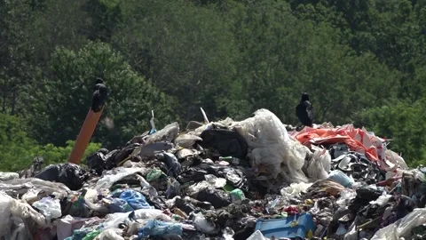 Garbage dump. People will take out the garbage.Uzhhorod. Ukraine - June 22, 2020 Vídeos de archivo 143908594