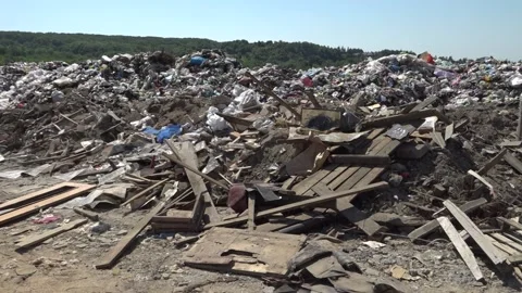 Garbage dump. People will take out the garbage.Uzhhorod. Ukraine - June 22, 2020 Vídeos de archivo 143908595